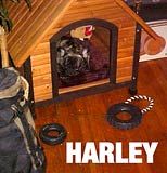SHARLLE-HARLEY in his new home